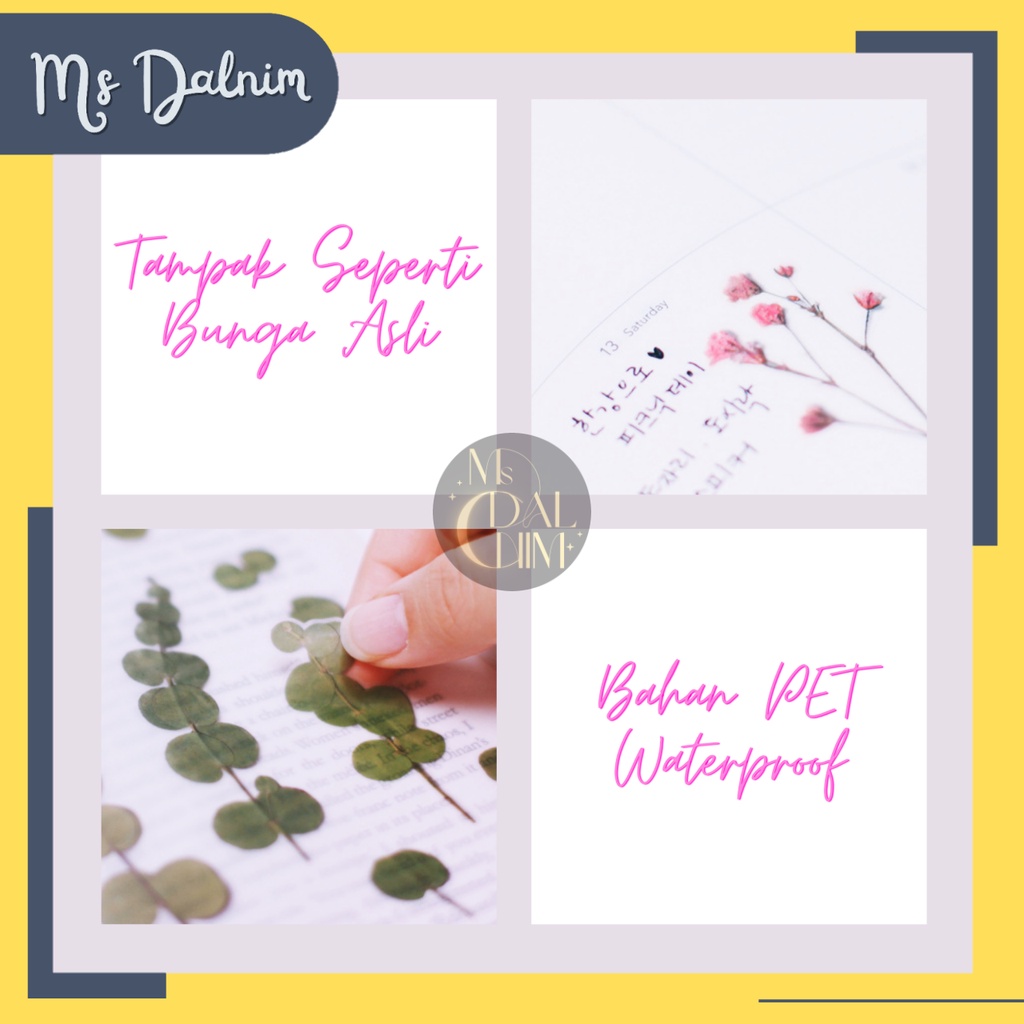 

Stiker Bunga Transparan / Press Flower Deco Decorative Sticker Natural Aesthetic Korean Japanese Chinese Lucu Kawaii Diary Planner Journal DIY Scrapbook Album