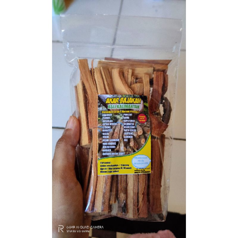 

bajakah asli Kalimantan 100% asli berkhasiat
