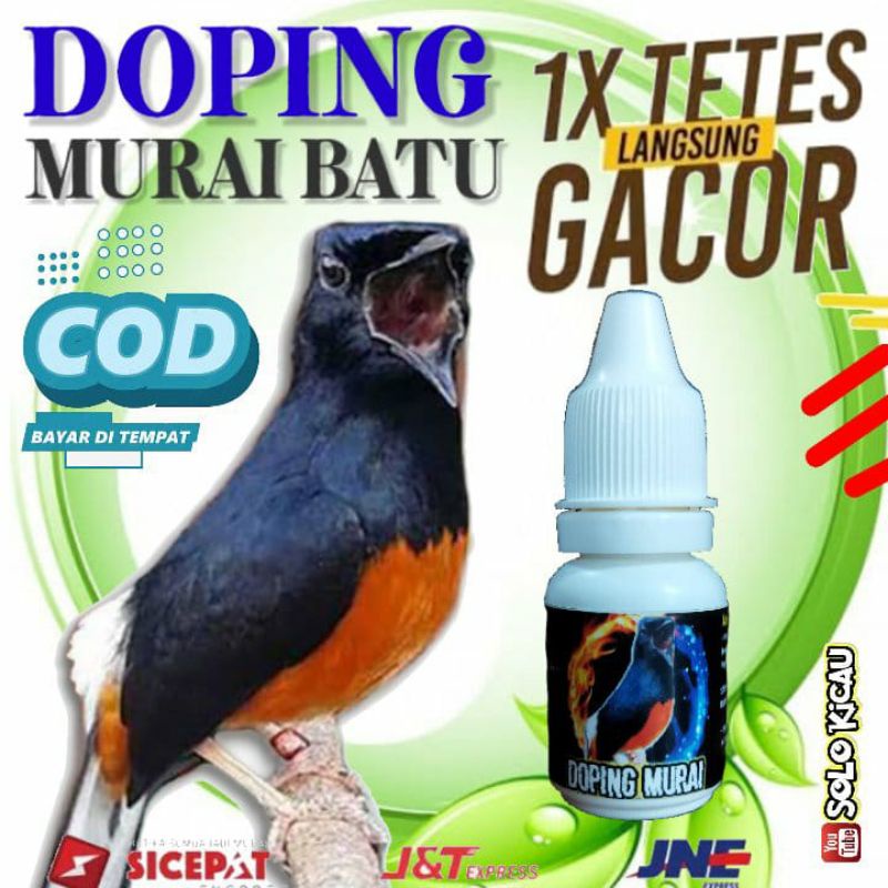 DOPING MURAI BATU MACET & LOMBA, obat tetes burung berkicau macet bunyi stres, obat burung alami gac