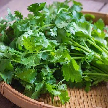 

Daun Ketumbar Segar - 100 gram