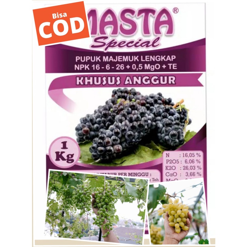 Pupuk tanaman anggur angar cepat berbuah, Pupuk pohon anggur agar berbuah lebat