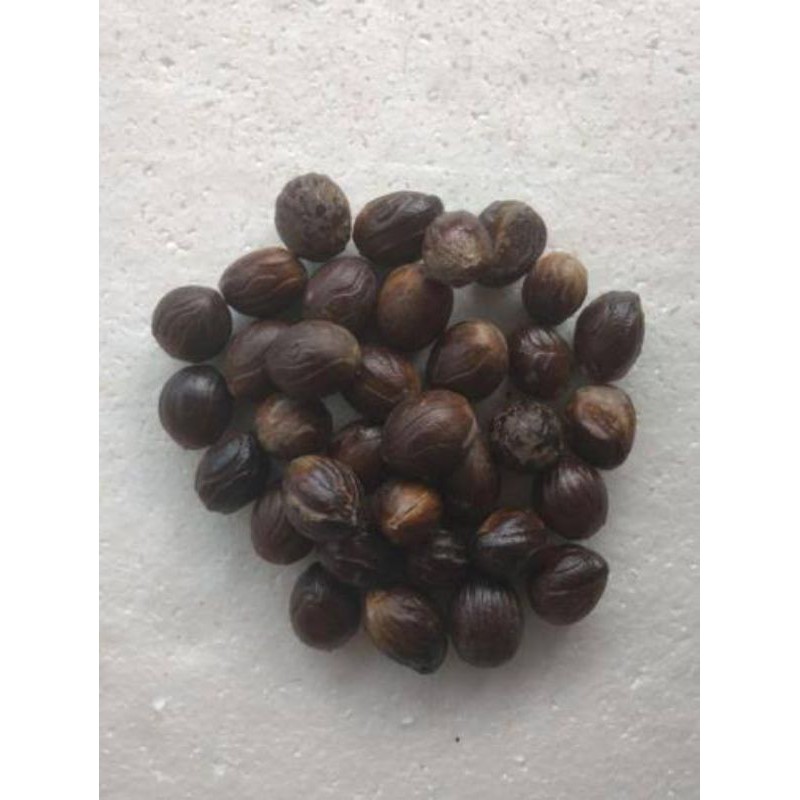 

Biji Pala Utuh/Bumbu Masak Rempah-Rempah Netto. 250Gram