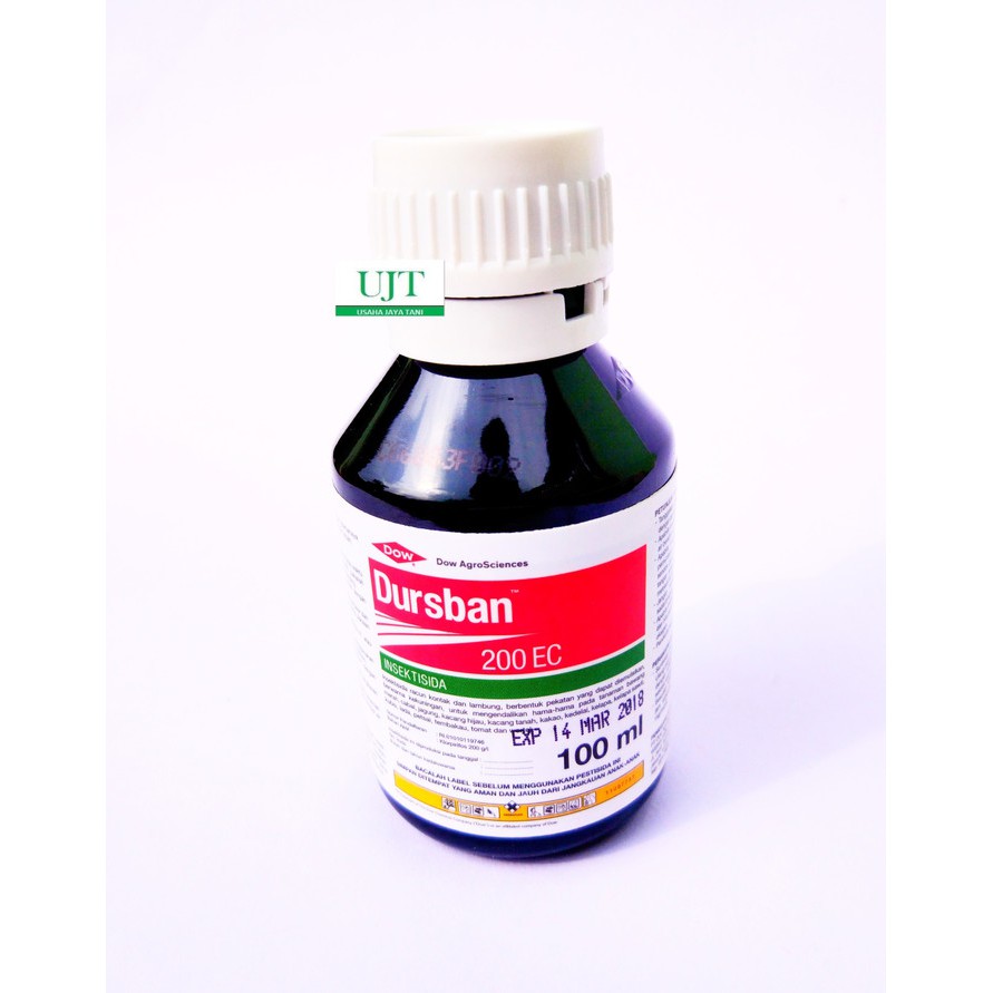 dursban insektisida 100ml