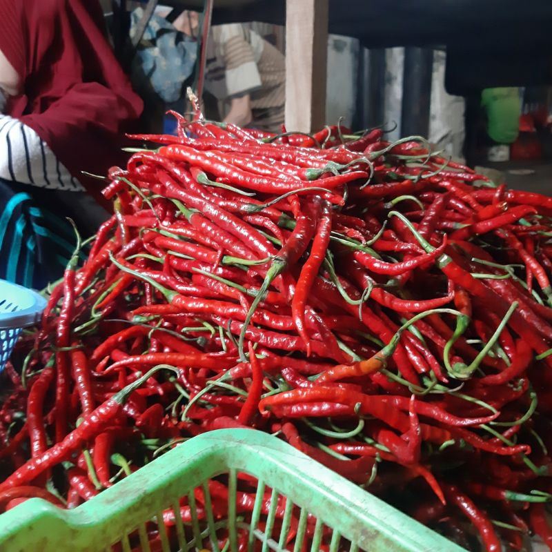 

Cabai/Cabe Merah Keriting 1/2kg (500g)