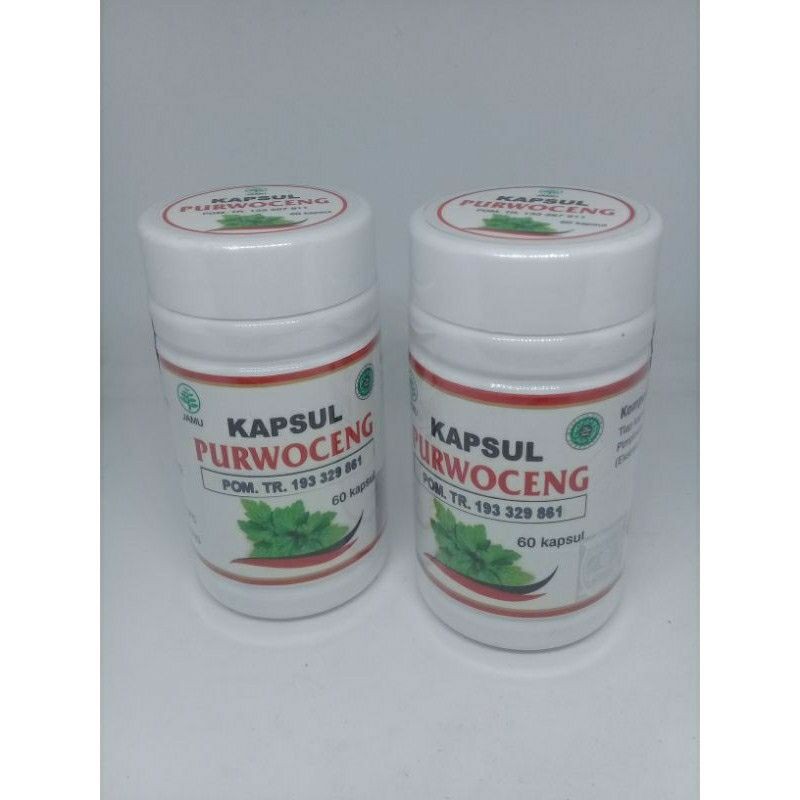 kapsul purwoceng bpom AL GHUROBA original