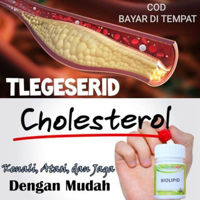 COD OBAT HERBAL SPESIAL KOLESTEROL BIOLIPID. HERBAL BIOLIPID NATURINDO