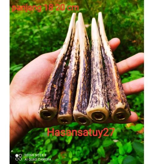 Special Price.. once,pipa,roko,tanduk,rusa,Hasansantuy27