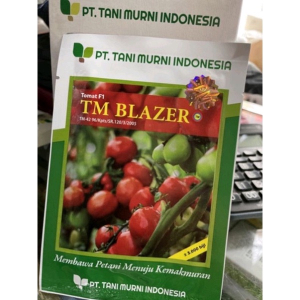 BENIH TOMAT TM BLAZER F1/10 GRAM