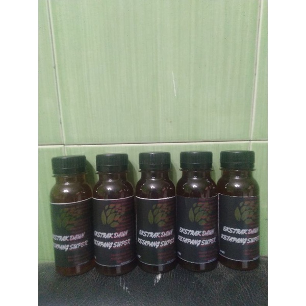 Ekstrak Daun Ketapang Super 100 ml