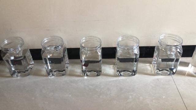 Toples 1l Bisa Untuk Cupang Termurah.