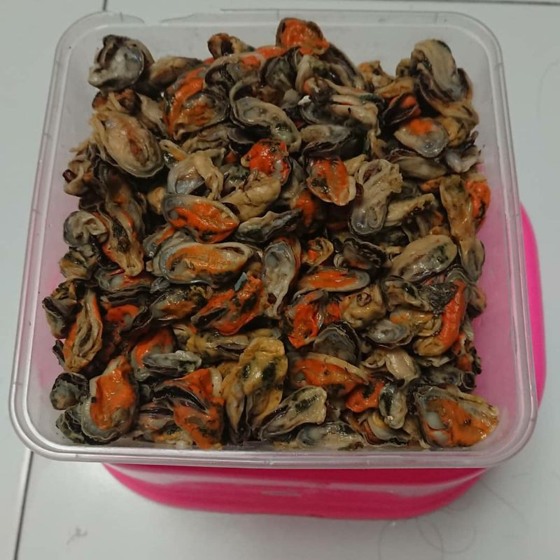 

Daging Kerang Hijau