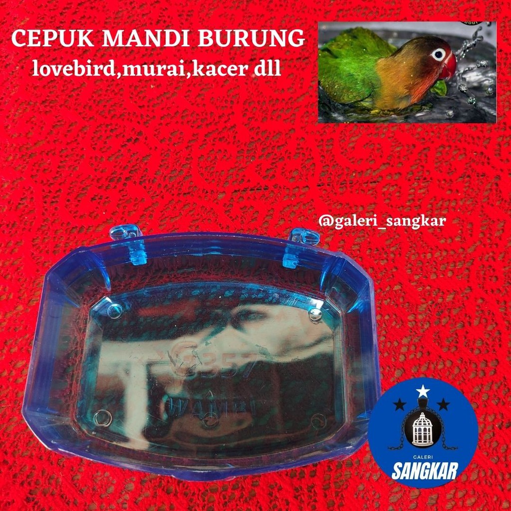 CEPUK MANDI TEMPAT MANDI BURUNG LOVEBIRD MURAI ANIS KACER DLL