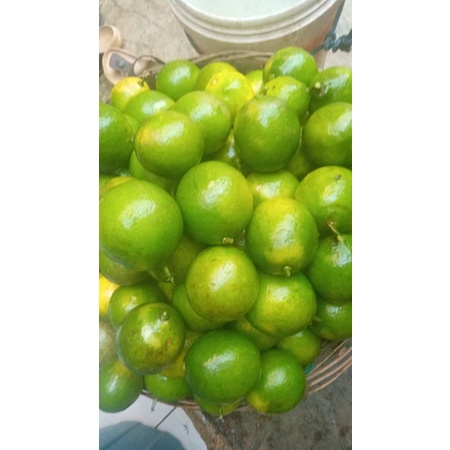 

lemon california fresh 1kg