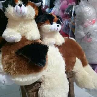 Boneka Kucing beranak | Shopee Indonesia