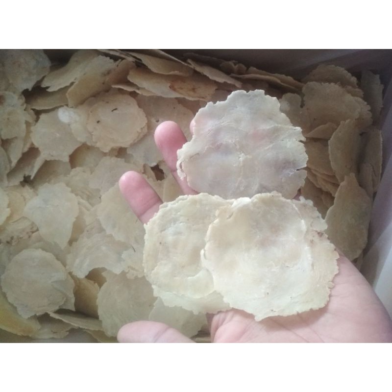

1kg EMPING melinjo mentah LB (3-4biji) //asli limpung//setengah kering