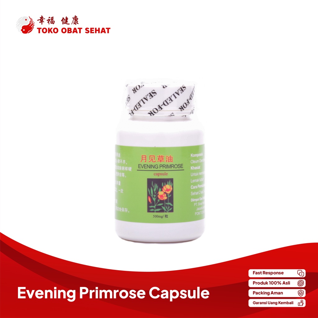 EVENING PRIMROSE capsule obat penurun lemak darah dan kolesterol herbal