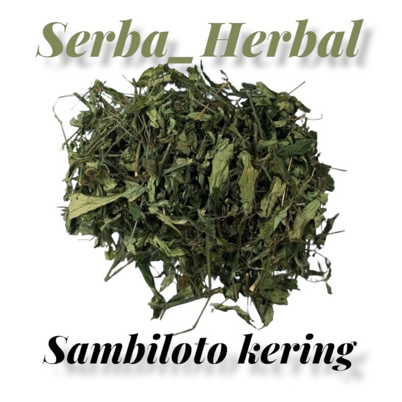 sambiloto kering asli 500 gram sambiloto cacah kering