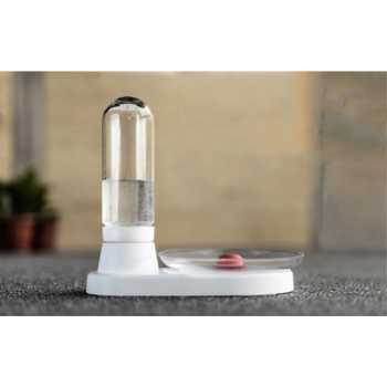 Tempat Minum Kucing Anjing Dispenser Otomatis Tempat Mangkuk Minum Otomatis Water Feeder