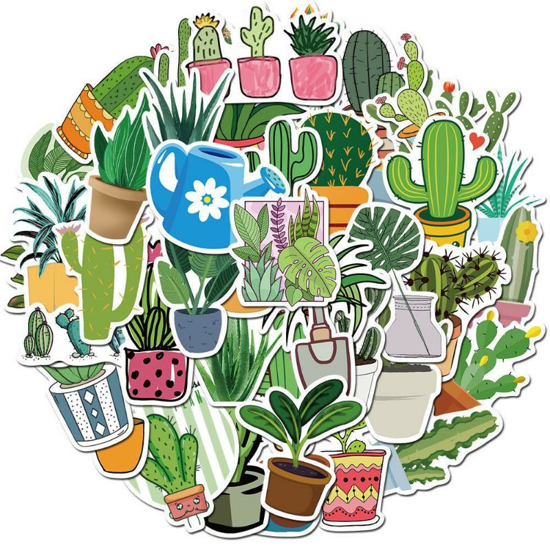 

10 PCS Sticker Desain Tanaman Kaktus Hijau Untuk Dekorasi Laptop / Notebook / Diary / Scrapbook