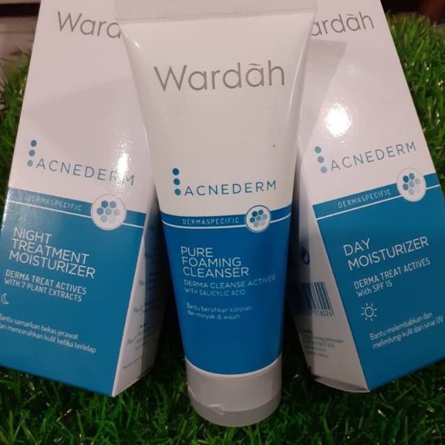 WARDAH ACNEDERM paket ekonomis/Paket Jerawat/DAY+NIGHT+FOAMING CLEANSER