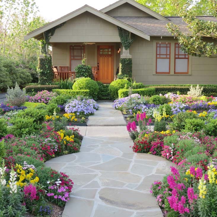 BS-BYL Bibit Bunga Benih Tanaman Bunga Hias Matahari Mawar Aster Vinca Krisan Telang Sunflower Krokot Lavender Marigold Zinnia-3