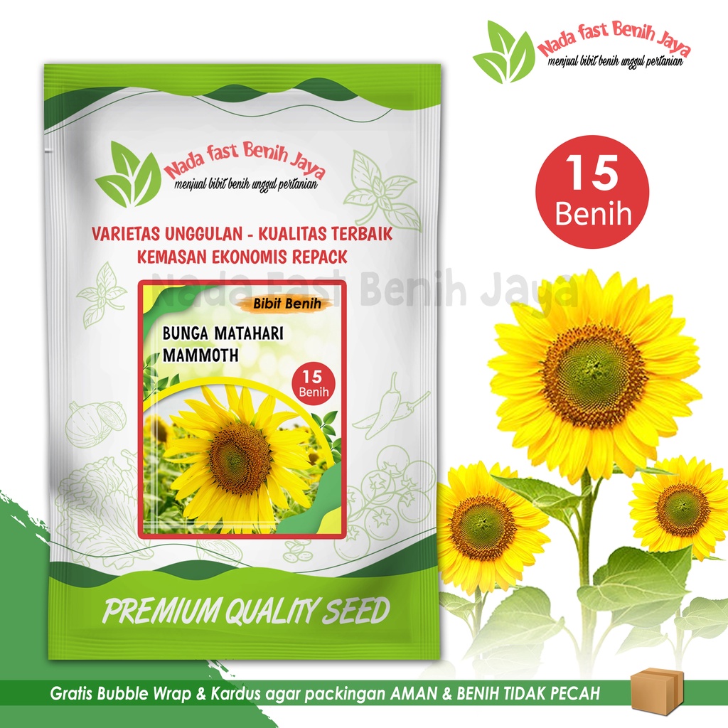 Nads fast benih jaya - Benih bunga matahari Mammoth 15 biji / Seeds Flower Mammoth  Sun flower Bunga