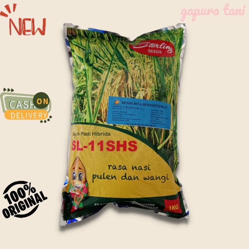 benih padi hibrida SL11SHS tahan wereng nasi pulen wangi 1 kg