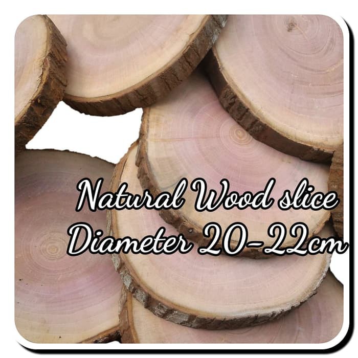 Wood slice chips 20-22 cm kayu log hiasan dinding dekorasi craft