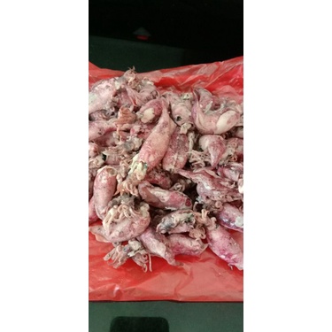 

@500gr sontong/cumi kering super