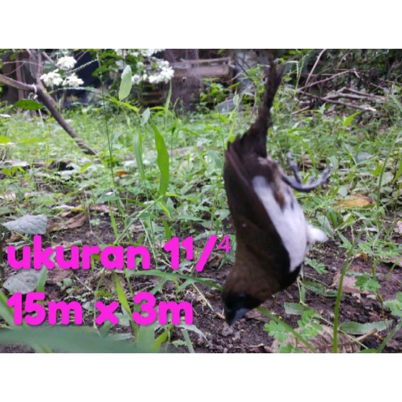 15m x 3m Jaring burung sawah Sudah siap pakai