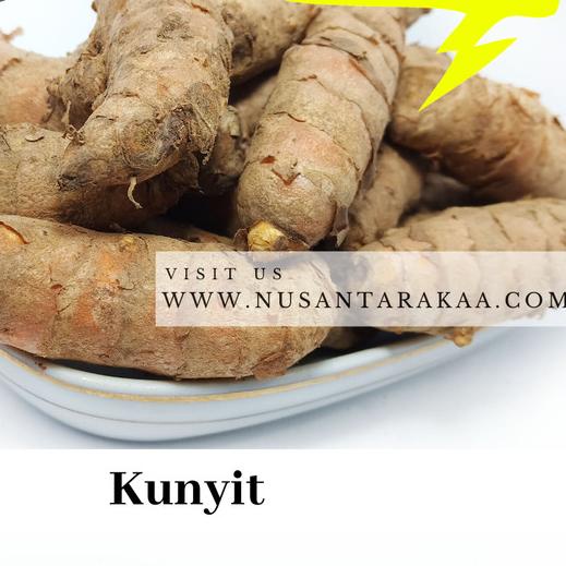 

♩ kunyit 500 gr ♦