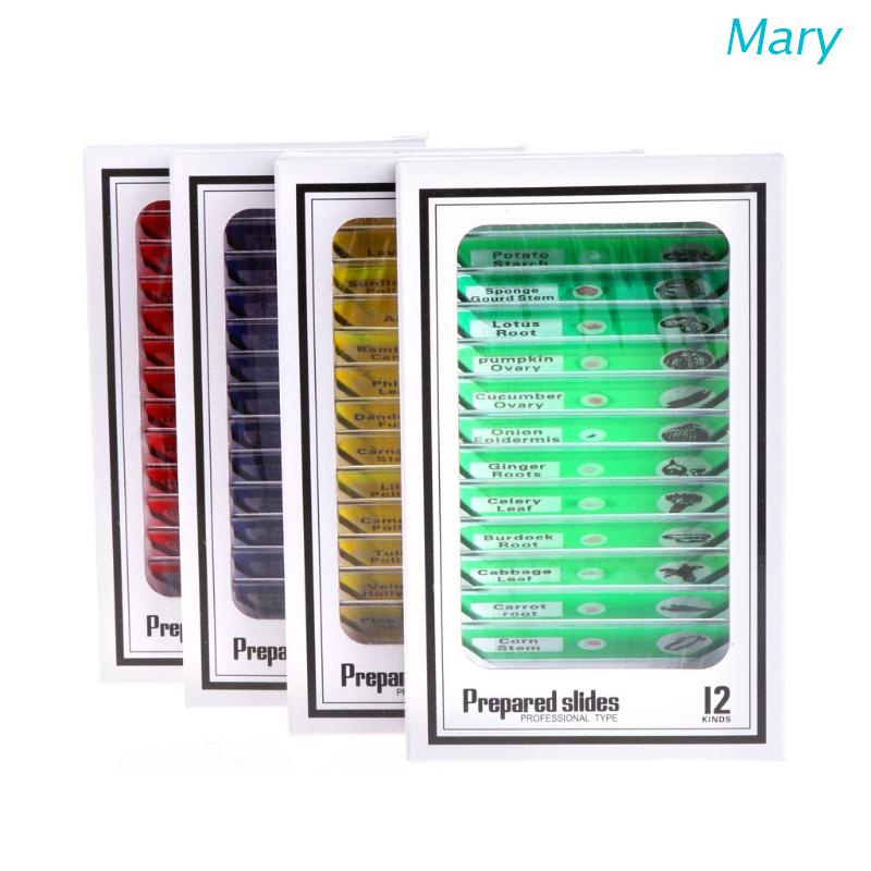 Mary 12pcs / Set Slide Mikroskop Spesimen Biologi Untuk Edukasi Anak