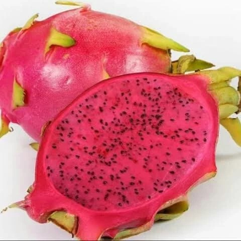 

buah naga 1kg