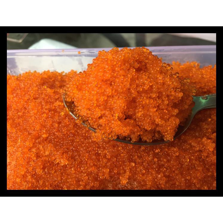 

Termurah Tobiko Orange 100G Fliying Fish Roe Telur Ikan Terbang Repacking Halal Makanan Instan