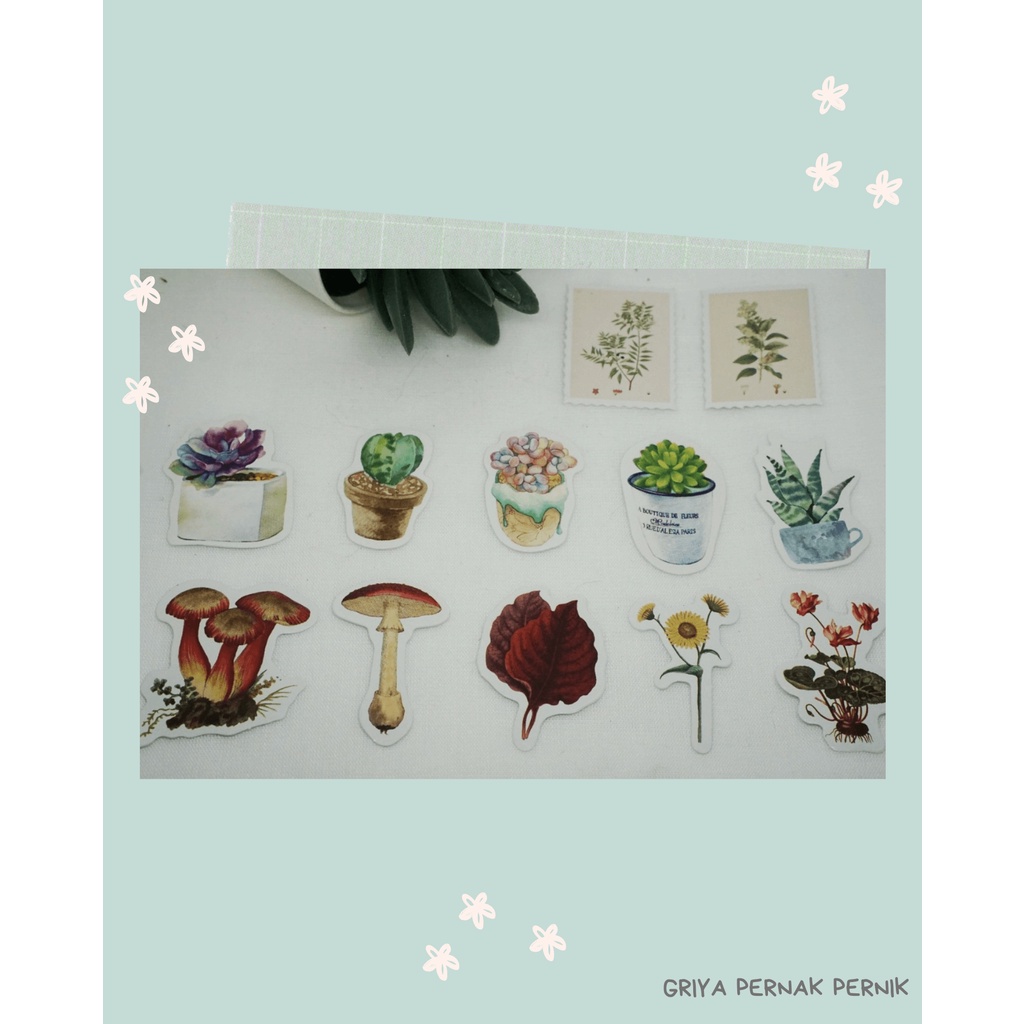 

Pernak Pernik - Stiker Deco Part 6 Tanaman Hijau | Stiker Aesthetic Jurnal Scrapbook