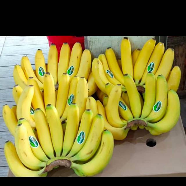 

Pisang sunpride