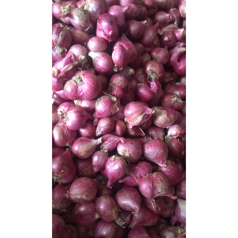 

BAWANG MERAH SUPER (harga tertera per 1kg)