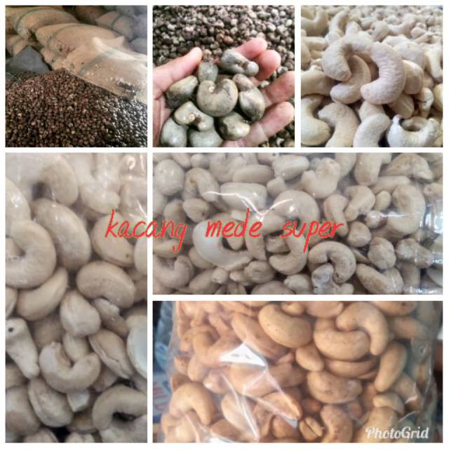 

kacang mede mentah dan matang