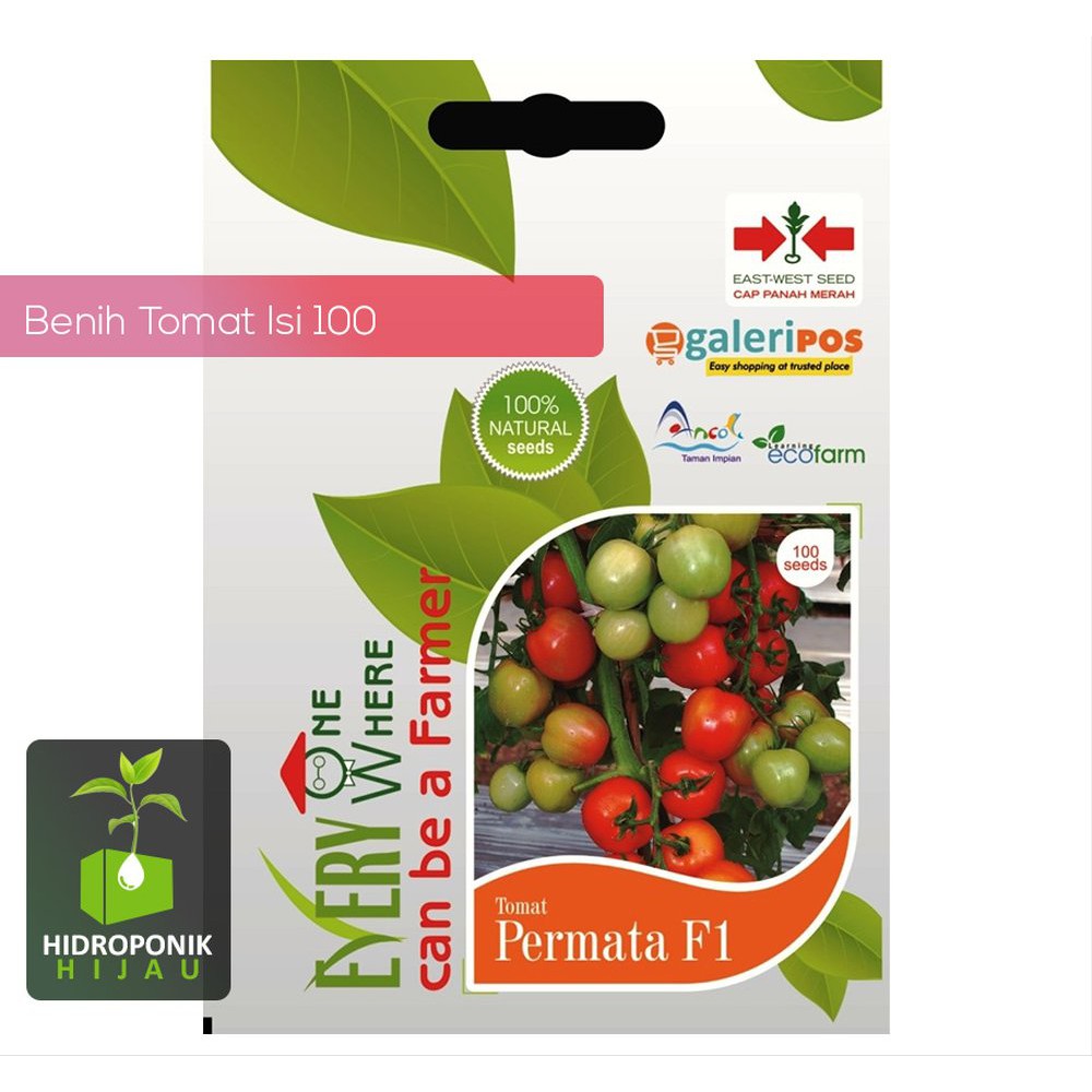 Benih Tomat Permata Limited