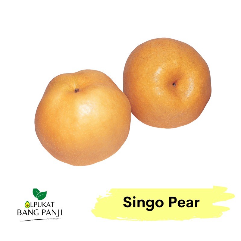 

ALPUKAT BANG PANJI - Pear Singo wangshan