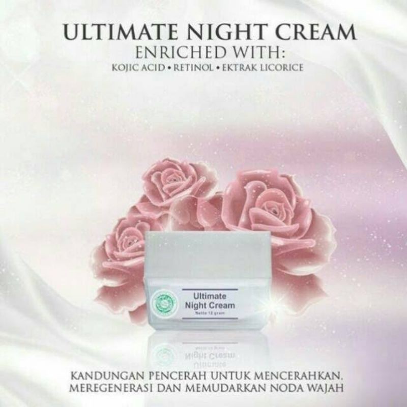 Ultimate Night Cream Krim Flek Hitam MS Glow