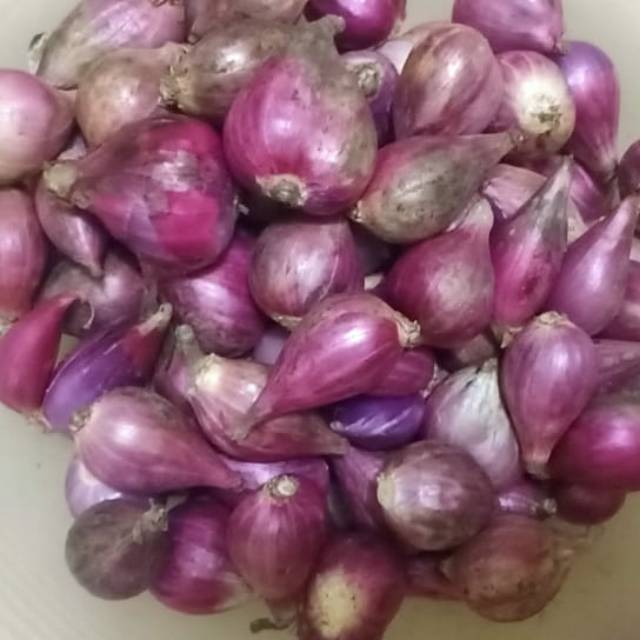 

Bawang Merah Super