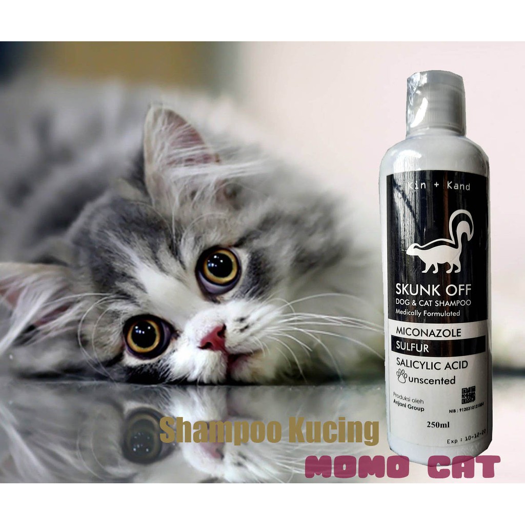 Shampoo Anti Kutu Water based 250ml untuk Kucing/Anjing