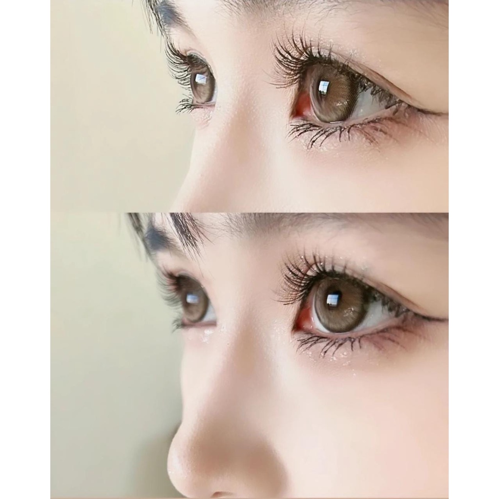 SOFTLENS LUX APPLE BLOOM BROWN / KONTAK LENSA