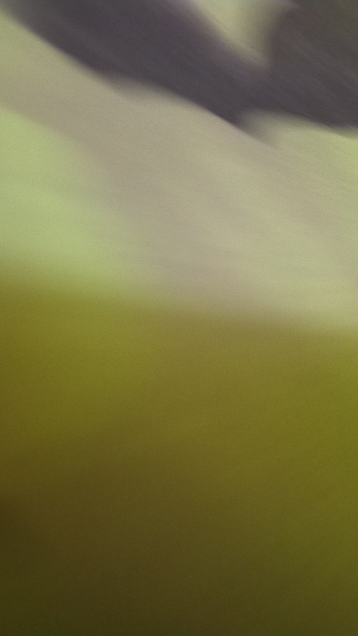 Pisau Lipat Mini / Pisau Lipat Jagung