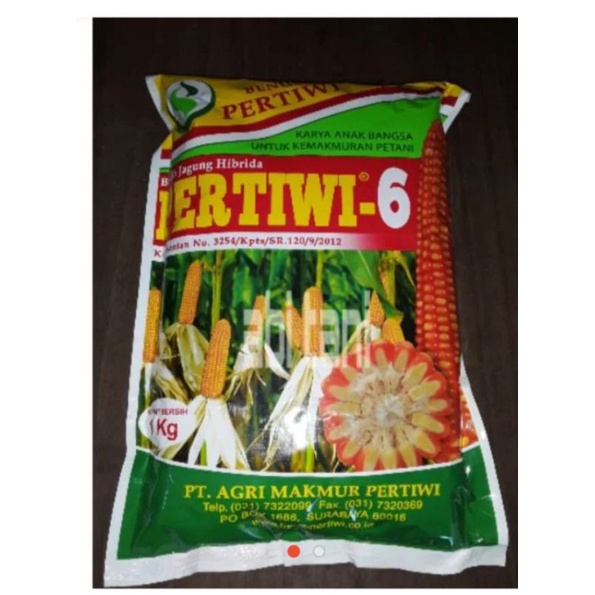 Benih Jagung Hibrida Pertiwi-6 / Bibit Jagung Pertiwi-6 Tahan bulai