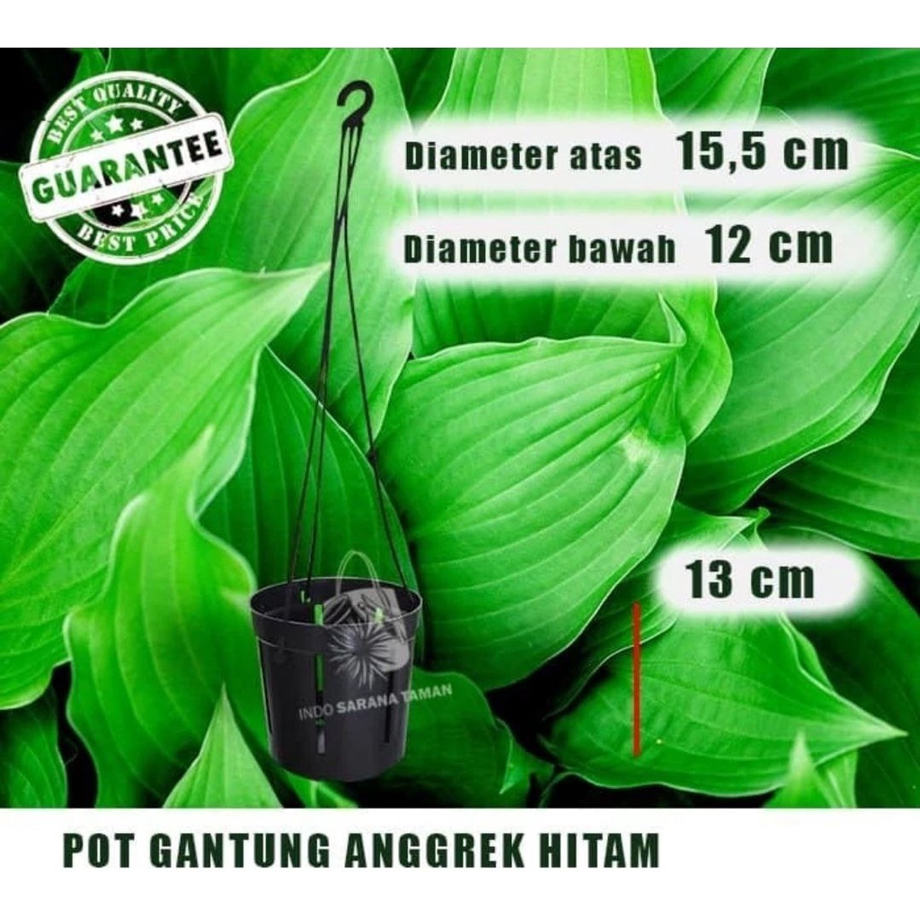 POT GANTUNG ANGGREK HITAM Pot Anggrek Pot Tanaman Pot Bunga Pot Plastik Grosir Pot Perlengkapan Tama
