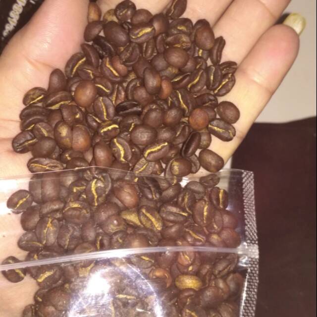 

Luwak Arabika Pangalengan