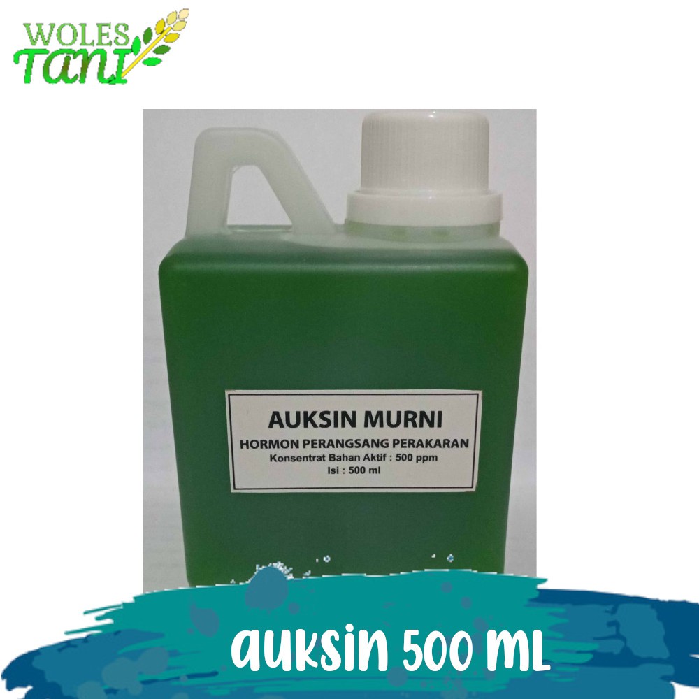 Auksin Murni 500 ml