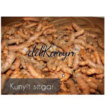 

Kunyit /kunir segar 1kg